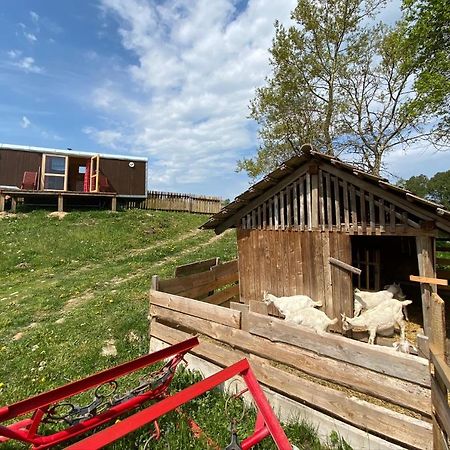 Maringotka Na Samote Na Kozi Farme Hotell Pobezovice Eksteriør bilde